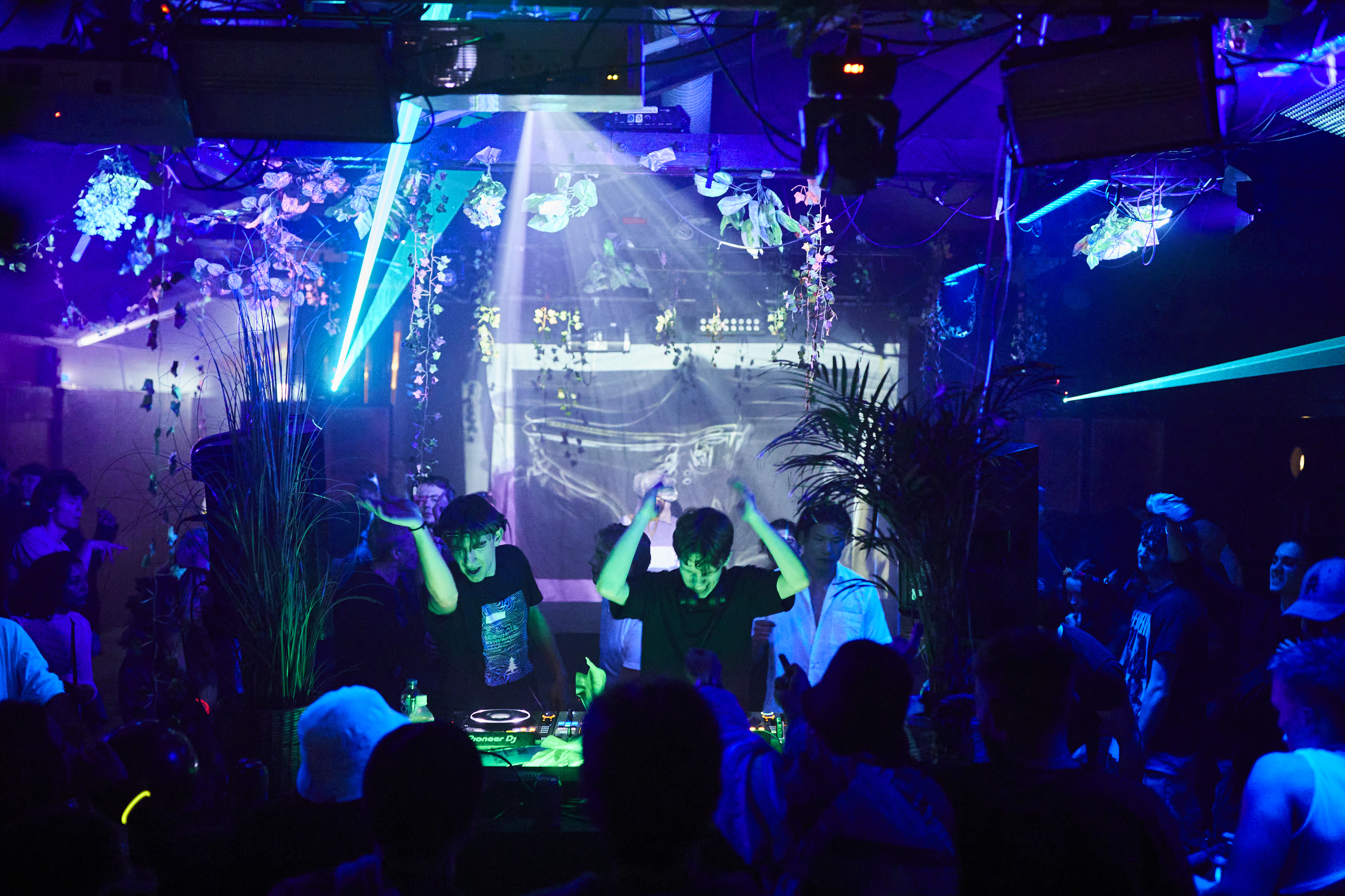 Bild från Jungle is Wikkid